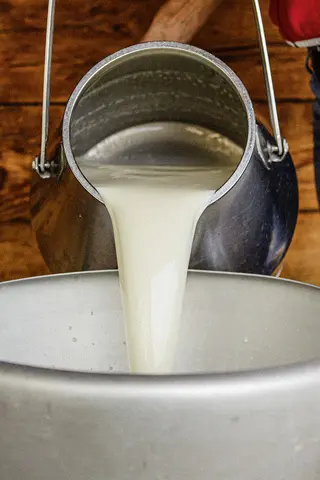 Milch wird aus Kanne geschüttet